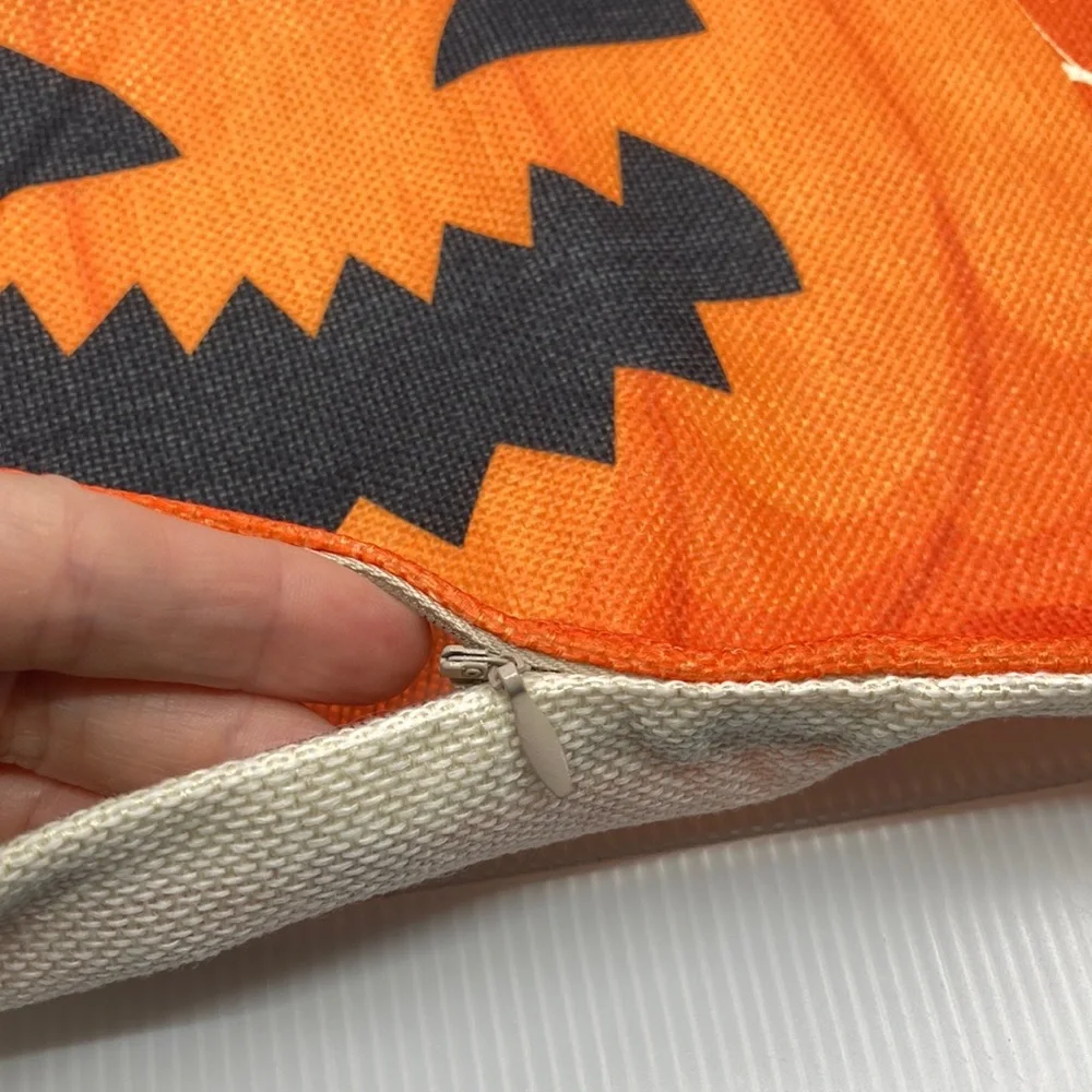 Halloween Themed Pillow Set of 4 Covers